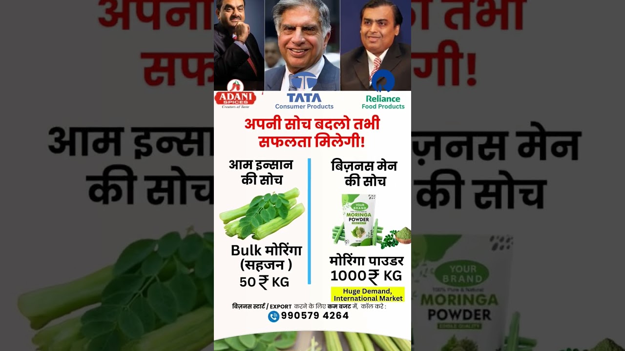 Business Idea | Profitable Business in 2025 | Moringa powder