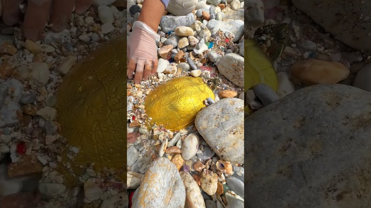 Sea Agate and Sea Crystal: Finding Hidden Treasures on the Shore and rare pearl