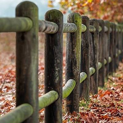 Wooden fence surrounded by autumn leaves